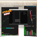 Price Volume Dynamics Navigator
